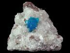 Vibrant Blue Cavansite Cluster on Stilbite - India #67804-2